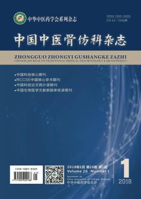 中国中医骨伤科杂志