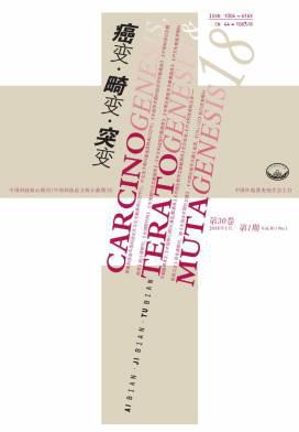癌变·畸变·突变