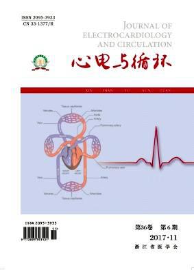 心电与循环