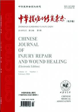 中华损伤与修复杂志(电子版)