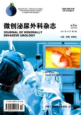 微创泌尿外科杂志