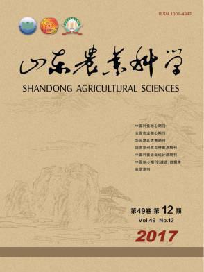 山东农业科学