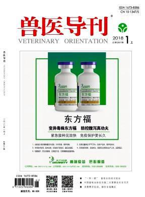 兽医导刊