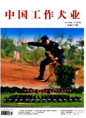 中国工作犬业