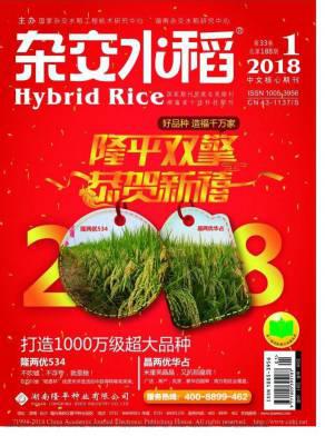 杂交水稻