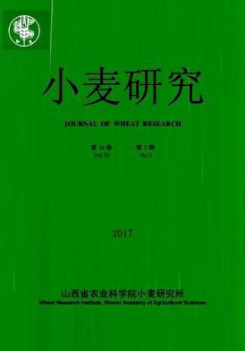 小麦研究