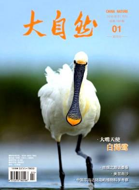 大自然